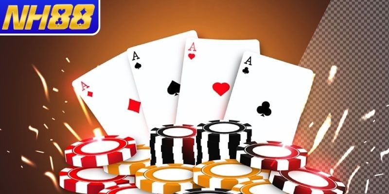 Bull Bull NH88 là gì?