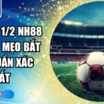 Kèo chấp 1/2 NH88