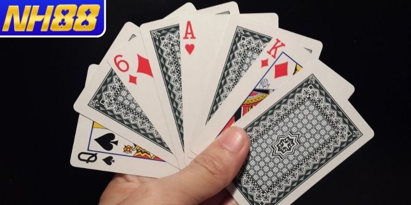 Các vòng chơi đặc biệt